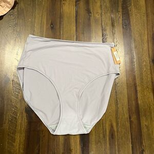 NWT Skims Fits Everybody Full Brief Moonstone - Size 4X